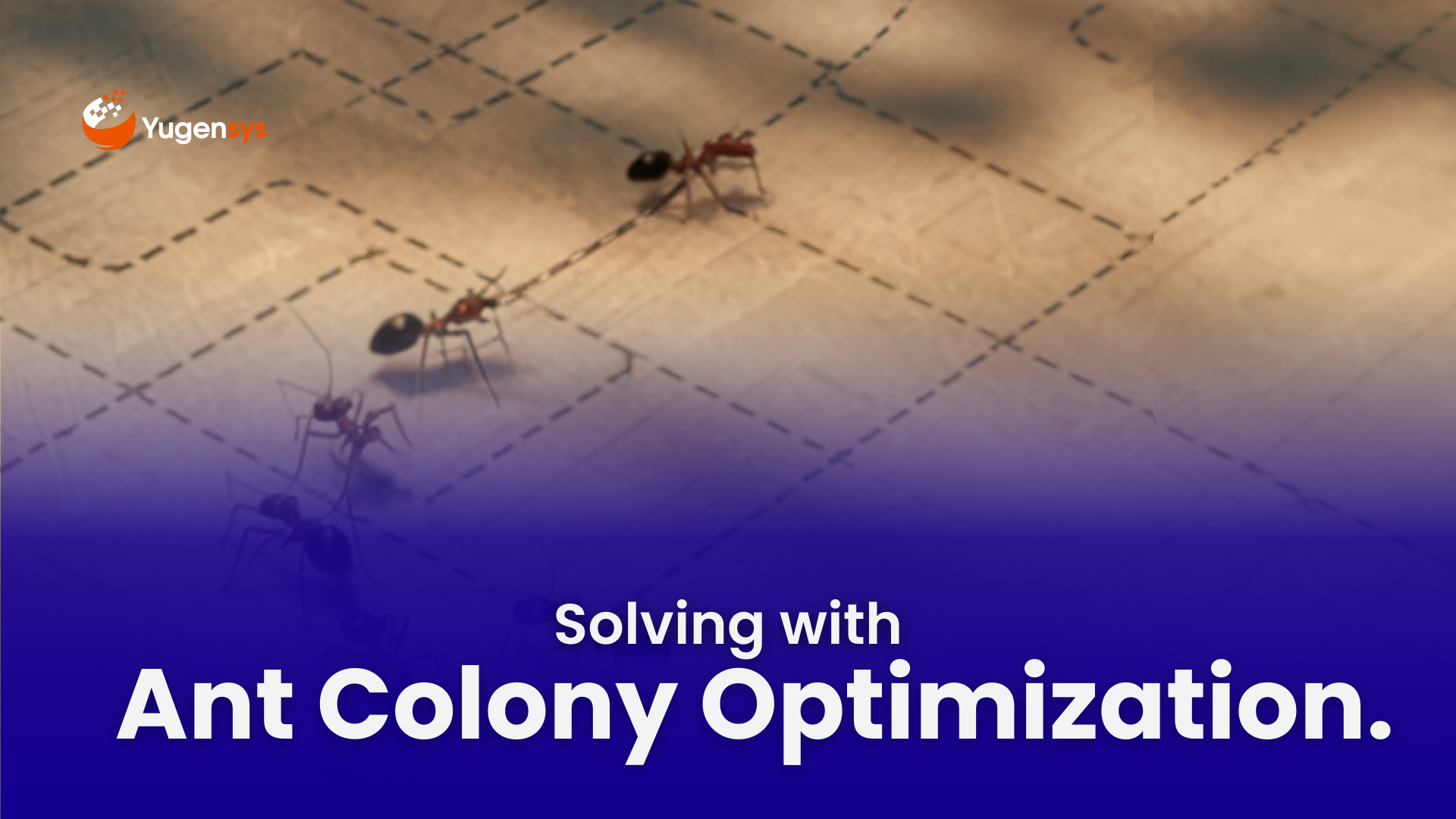 Ant Colony Optimization Explained: A Nature-Inspired Solution for Complex Problems